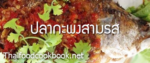 วิธีทำผัดเผ็ดปลาเนื้ออ่อน