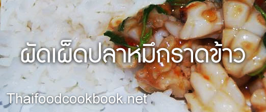 ผัดเผ็ดปลาหมึกราดข้าว