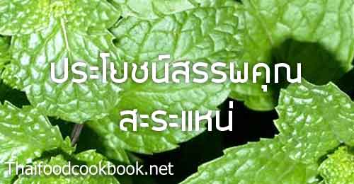 ประโยชน์สรรพคุณของสะระแหน่