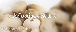 ประโยชน์และสรรพคุณของเห็ดฟาง