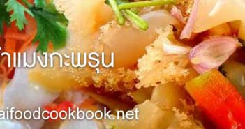สูตรยำแมงกะพรุน วิธีทำยำแมงกะพรุน วิธีทำยำแมงกะพรุน