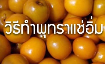 วิธีทำพุทราแช่อิ่ม สูตรวิธีทำพุทราแช่อิ่ม