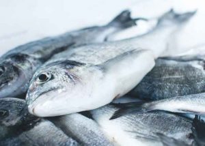 ประโยชน์ของเนื้อปลาสารอาหารในเนื้อปลามีอะไรบ้าง