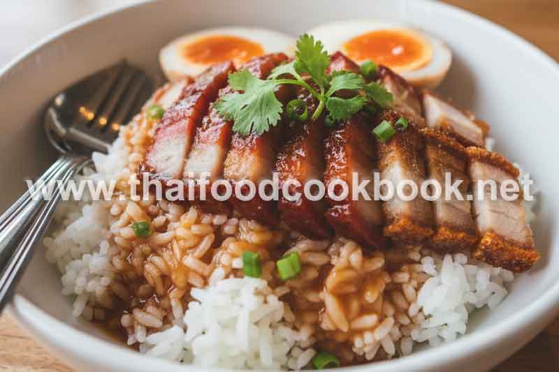 bbq-red-pork-with-rice-khao-moo-daeng